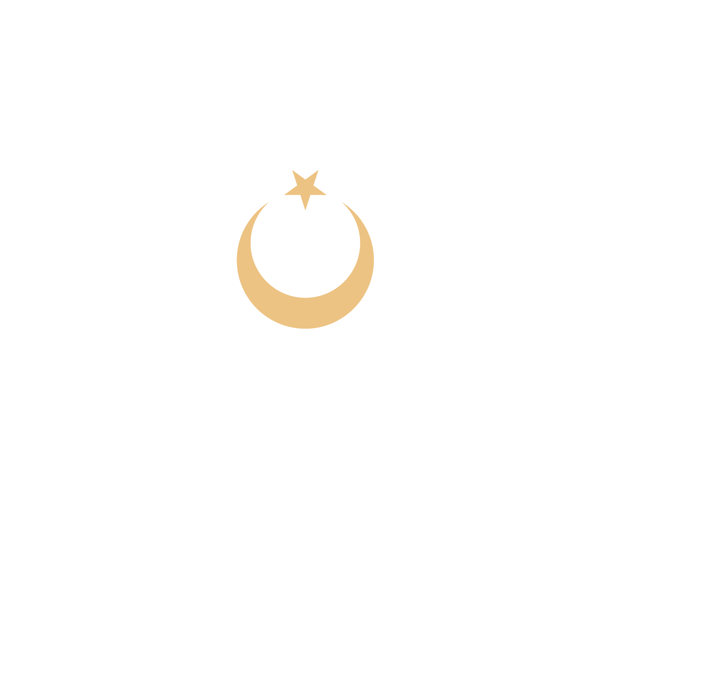 Türk Altın İşletmeleri